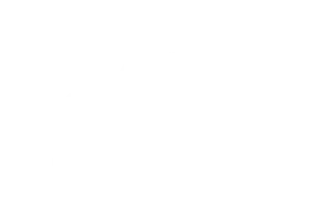 Kleinberg Logo weiss