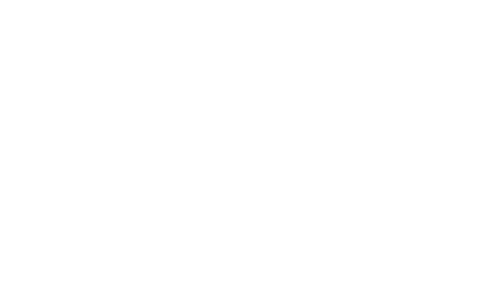 Kleinberg Logo weiss